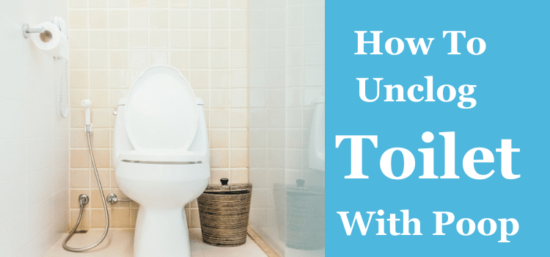 How To Unclog Toilet With Poop
